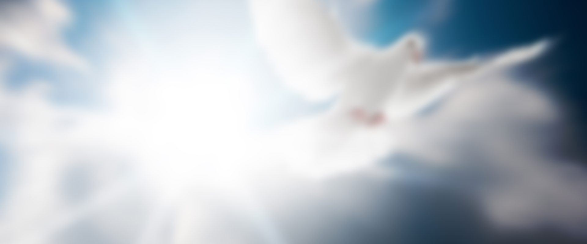 blog03